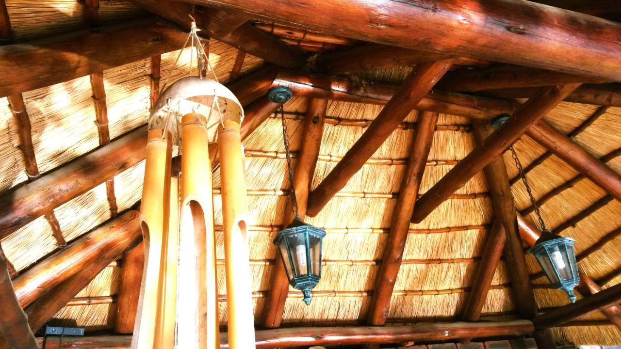 Old Mill Guest House دوربان المظهر الخارجي الصورة