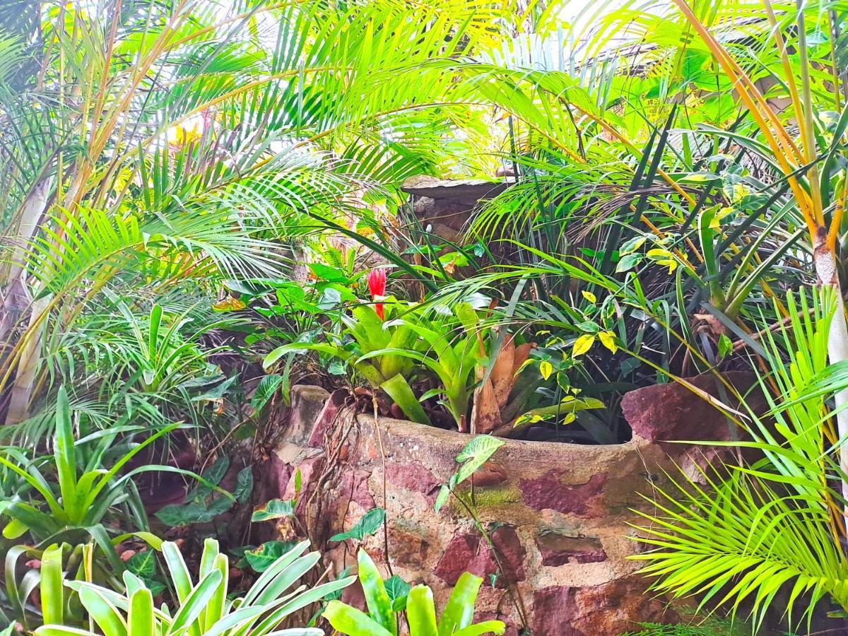 Old Mill Guest House دوربان المظهر الخارجي الصورة